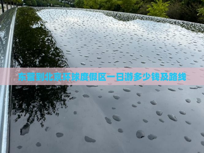 东营到北京环球度假区一日游