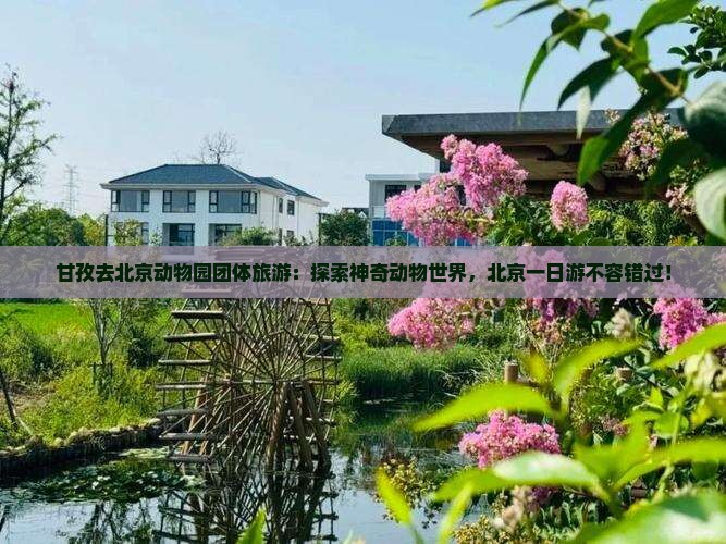 甘孜去北京动物园团体旅游 甘孜去北京动物园团体旅游
