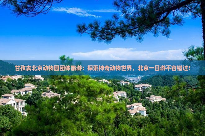 甘孜去北京动物园团体旅游 甘孜去北京动物园团体旅游