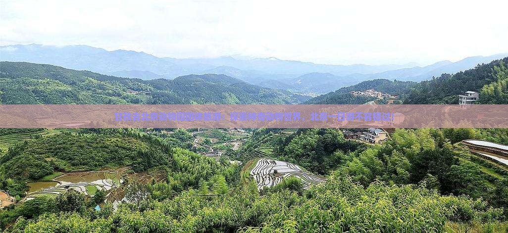 甘孜去北京动物园团体旅游 甘孜去北京动物园团体旅游