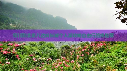 铜川到北京八达岭长城个人游