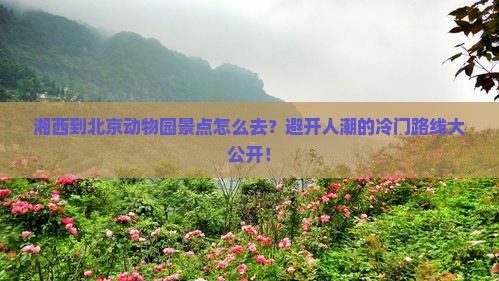 湘西到北京动物园景点