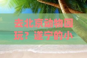 遂宁去北京动物园景点