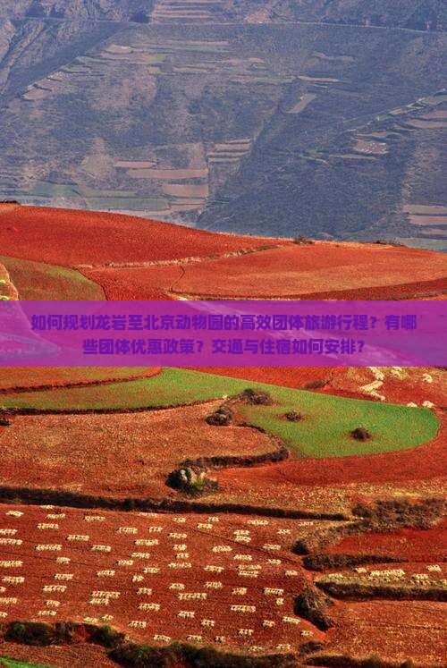 龙岩到北京动物园团体旅游