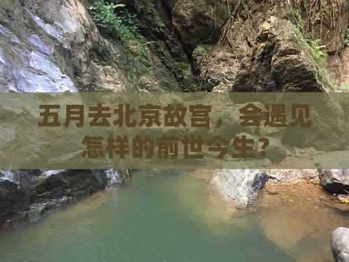 五月到北京故宫博物院旅游