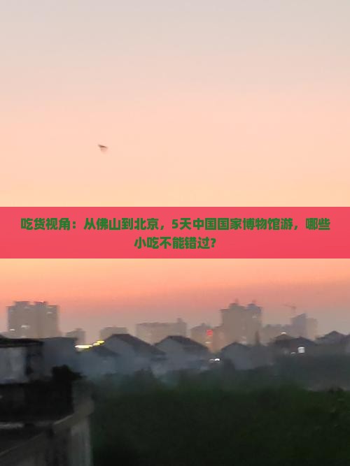 佛山到北京中国国家博物馆旅游小吃