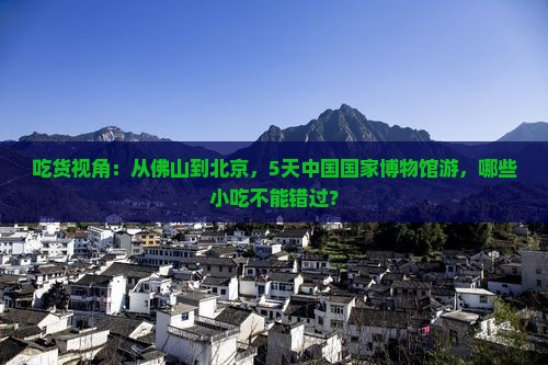 佛山到北京中国国家博物馆旅游小吃