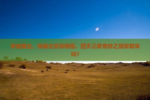 商丘到北京动物园四日游