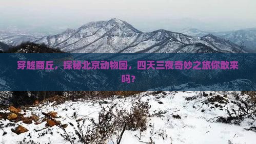 商丘到北京动物园四日游