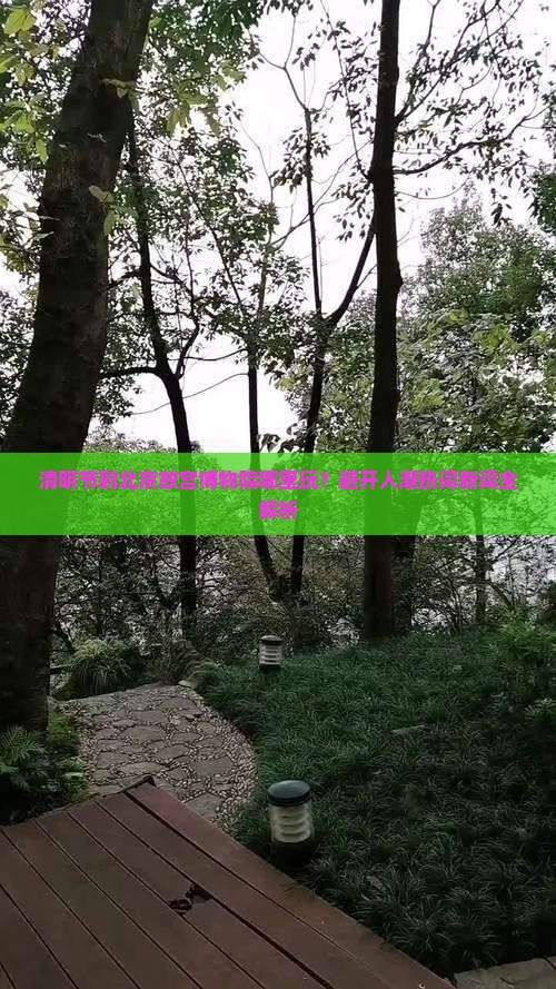 清明节到北京故宫博物院哪里玩