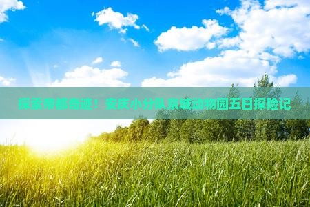 安庆去北京动物园五日游