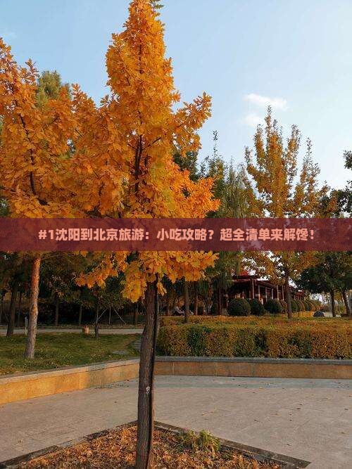 沈阳到北京旅游小吃 沈阳到北京旅游小吃
