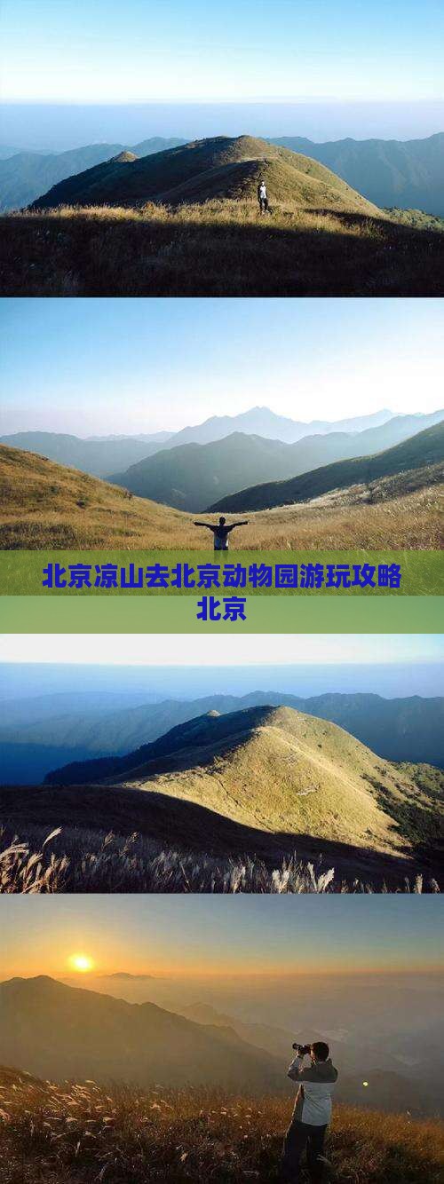 凉山去北京动物园景点