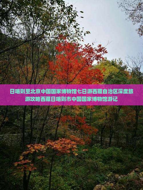 日喀则去北京中国国家博物馆七日游