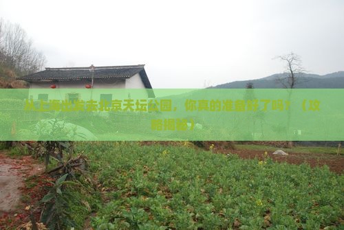 上海去北京天坛公园自由行