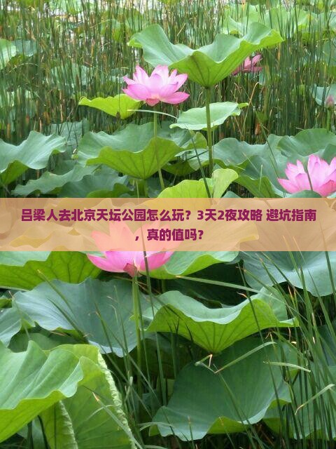 吕梁去北京天坛公园团体旅游