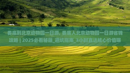 娄底到北京动物园一日游