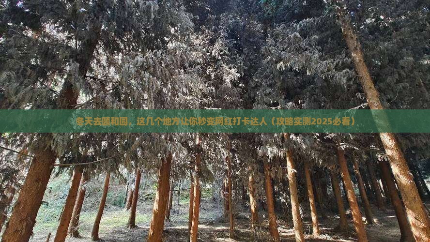冬天到北京颐和园必去地 冬天到北京颐和园必去地