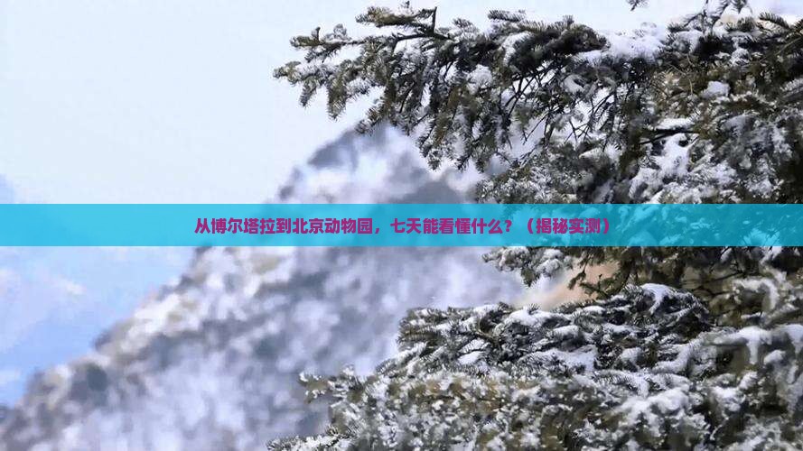 博尔塔拉去北京动物园七日游