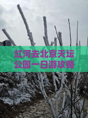 红河去北京天坛公园一日游