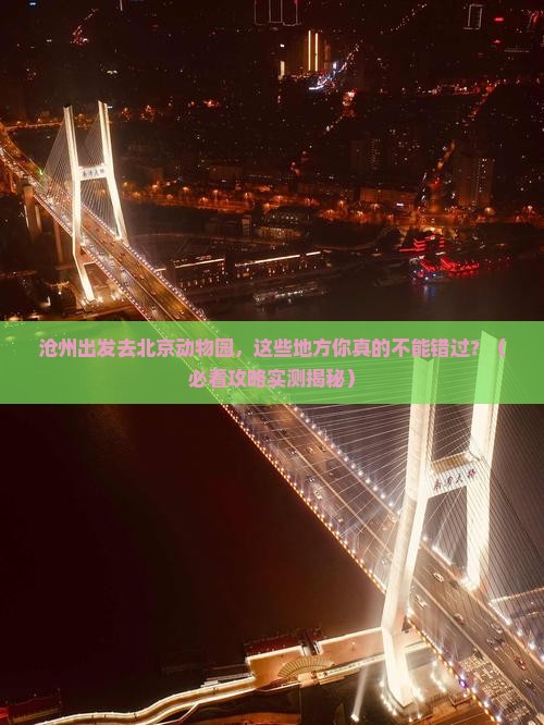 沧州到北京动物园必去地