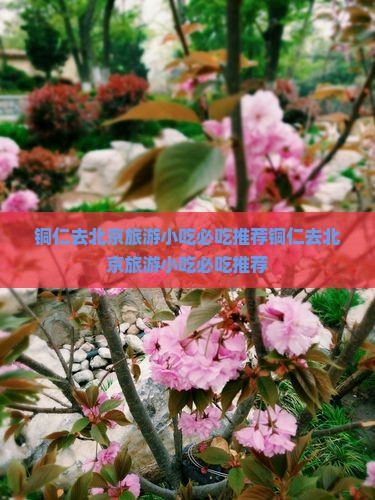 铜仁去北京旅游小吃