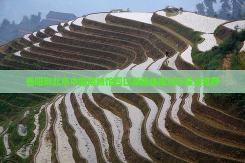 岳阳到北京中国国家博物馆四日游