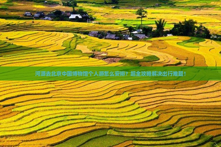 河源去北京中国国家博物馆个人游