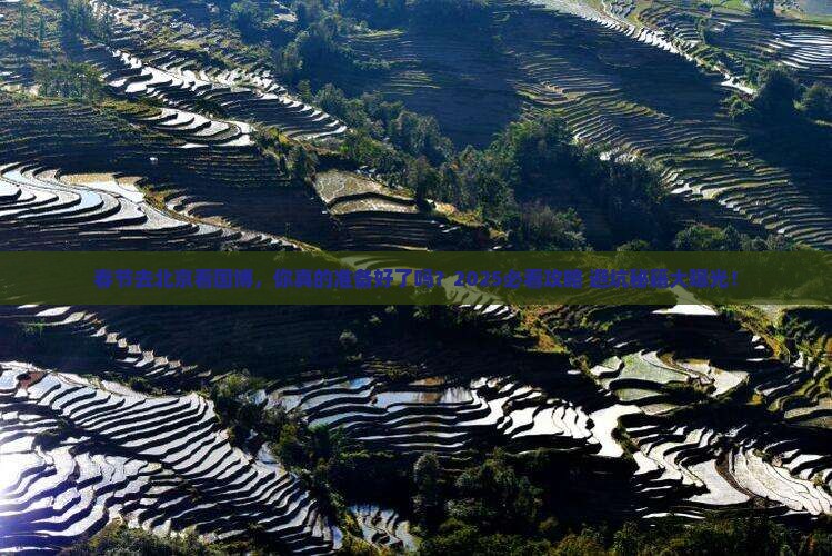 春节到北京中国国家博物馆景点