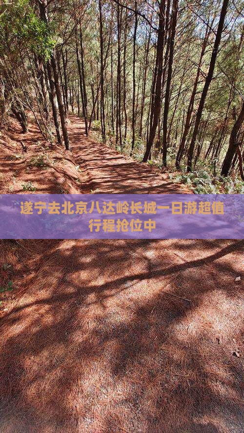 遂宁去北京八达岭长城一日游