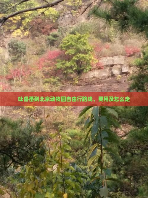 吐鲁番到北京动物园自由行