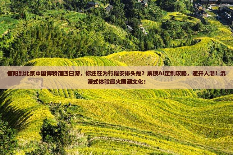 信阳到北京中国国家博物馆四日游