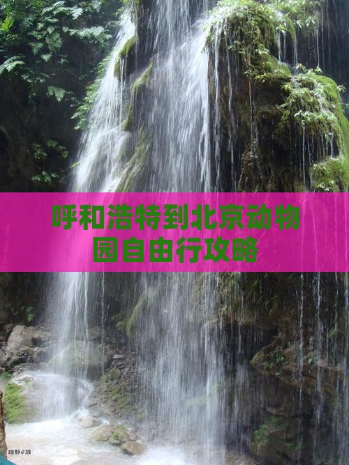 呼和浩特到北京动物园自由行