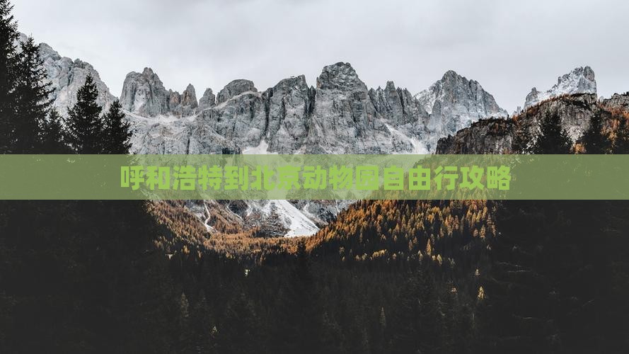呼和浩特到北京动物园自由行