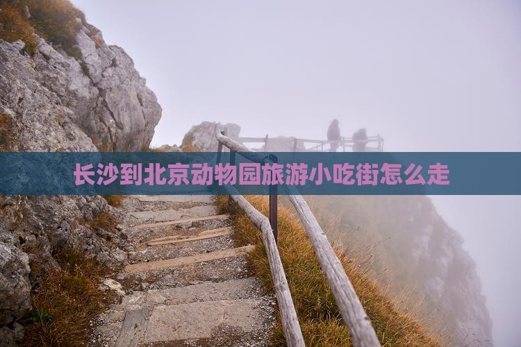 长沙到北京动物园旅游小吃