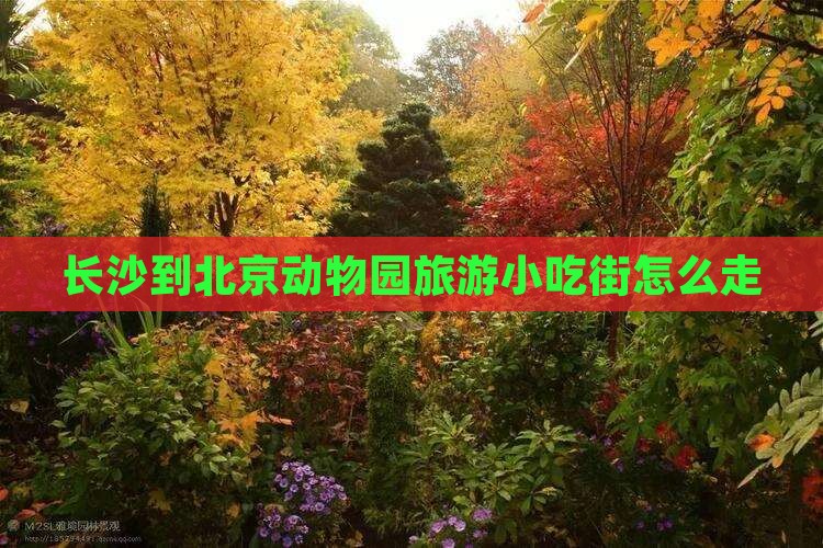 长沙到北京动物园旅游小吃
