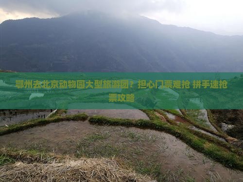 鄂州去北京动物园大型旅游团