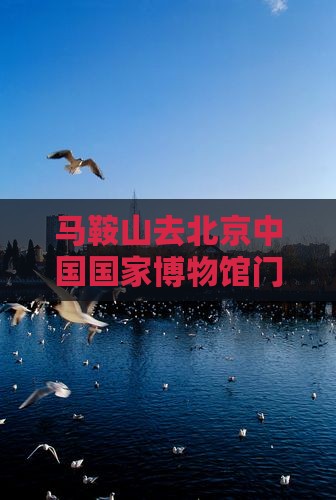 马鞍山去北京中国国家博物馆门票
