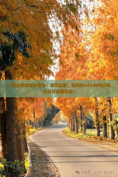 襄阳去北京环球度假区一日游