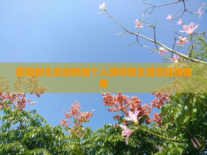 濮阳到北京动物园个人游
