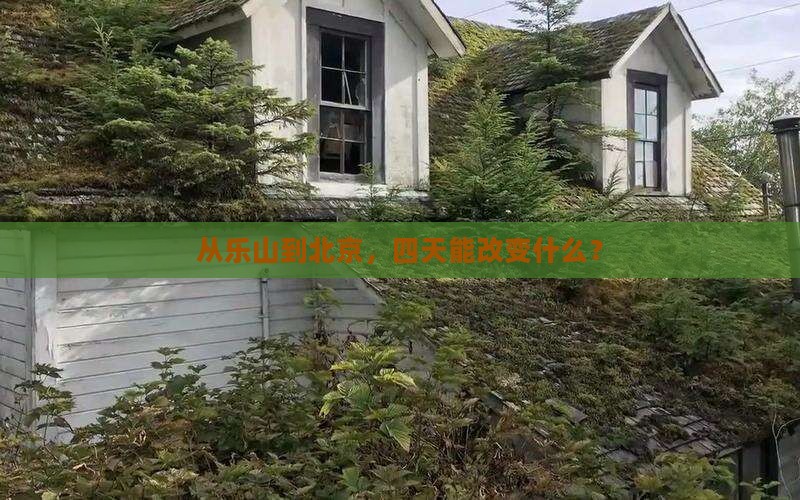 乐山到北京四日游