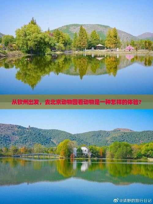 钦州去北京动物园三日游