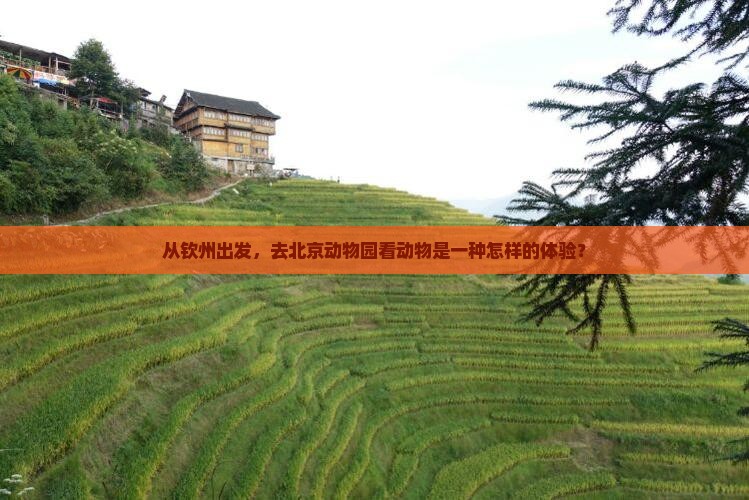钦州去北京动物园三日游