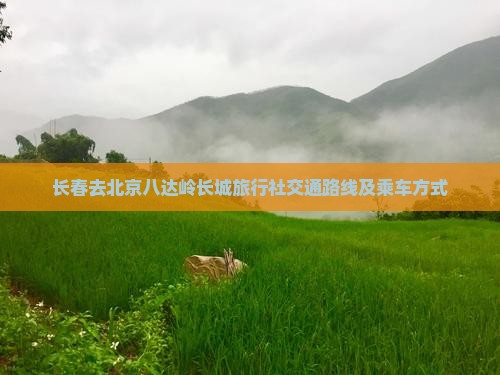 长春去北京八达岭长城旅行社