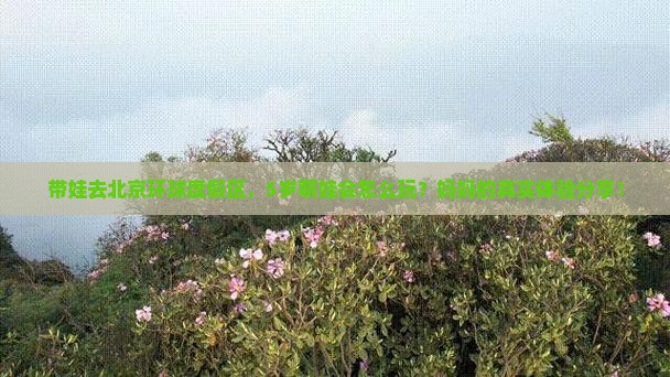 北京去北京环球度假区旅游