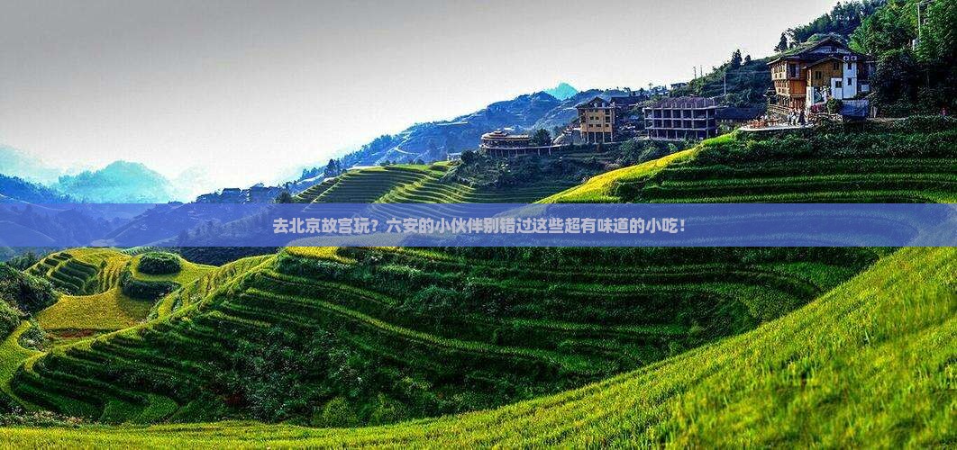 六安去北京故宫博物院旅游小吃
