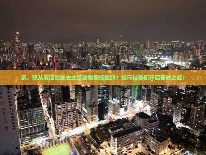 湘潭到北京动物园旅行社