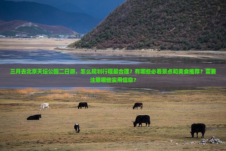 三月到北京天坛公园二日游