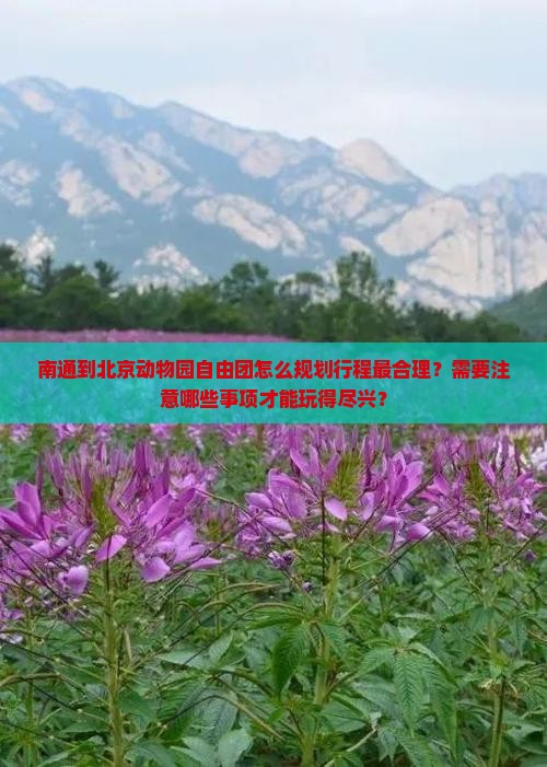 南通到北京动物园自由团