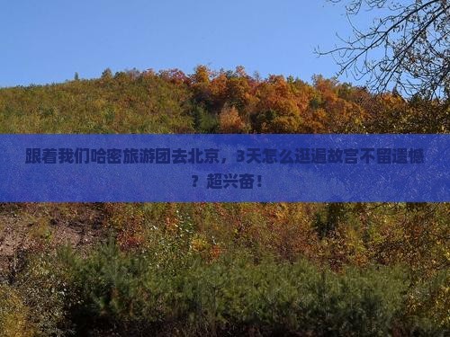 哈密去北京故宫博物院大型旅游团